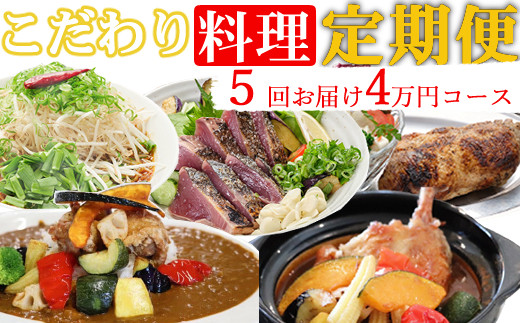 
            海土がお届けする定期便(５回発送)　4万円コース　かつおのたたき 鰹 カツオ カレー たんたん麺 小分け 担々麵 鶏肉 惣菜 冷凍 冷蔵 40000円 スープカレー ご自宅 頒布会
          