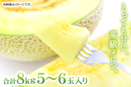 B-161 益田産アールスメロン8kg（5～6玉入り）【夏作】