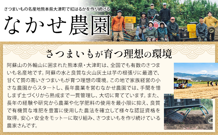 芋 熊本 県 大津 町産 なかせ 農園の蔵出しベニーモ 選べる 約 5kg (大中小サイズ不揃い)《10月末-12月末頃出荷予定》 さつま いも さつま芋 芋 紅 はるか スイート ポテト 干し芋にも