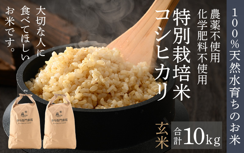 
            【先行予約】【令和7年産 新米】伊与衛門農園のコシヒカリ 玄米 10kg 特別栽培米 5kg×2袋 化学肥料不使用 ＜温度と湿度を常時管理し新鮮米を出荷！＞／ 高品質 鮮度抜群 福井県あわら産 ブランド米 お米 ※2025年9月下旬より順次発送予定 [aw071-b001]
          