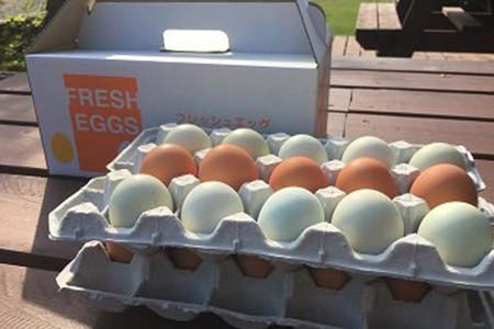 江原ファーム　地養卵＆アローカナハーフセット 計30個 割れ補償 |  卵 たまご タマゴ _AG07
