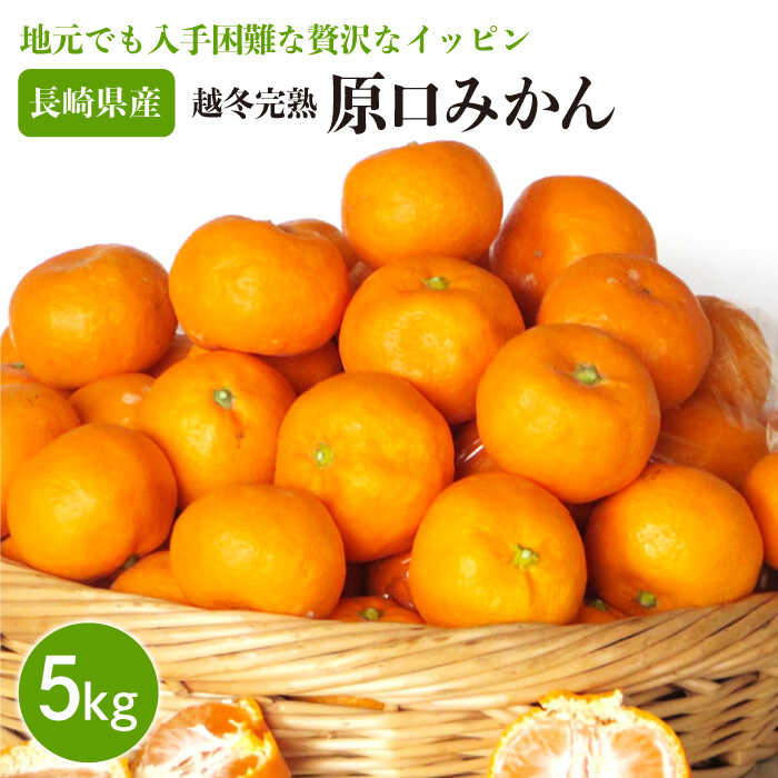 【ふるさと納税】「越冬完熟 原口 みかん」 5kg 完熟ミカン / 完熟ミカン ミカン 蜜柑 フルーツ 果物 甘い 数量限定 長崎県産 柑橘 贈答 ギフト こたつ 【長崎ぶんたんの会】 [OAF010]