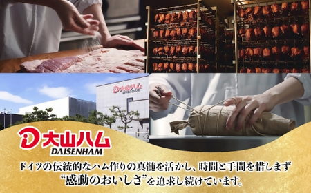 大山ハム バラエティ詰合せA　７種　(大山ブランド会）ハム ベーコン 生ハム