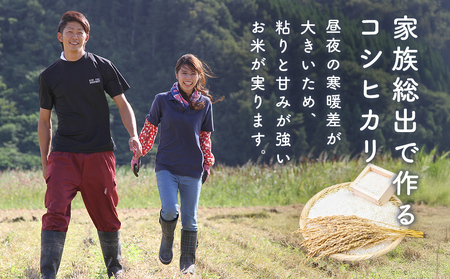 【3ヶ月定期便】コシヒカリ5kg 無洗米 富山県氷見産 ＜2025年10月以降発送＞ 富山県 氷見市 米 コシヒカリ 定期便