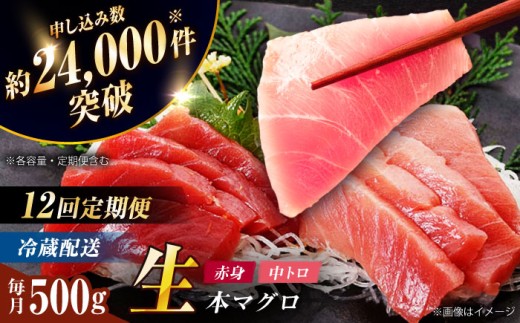 【全12回定期便】【ながさき水産業大賞受賞の新鮮なマグロを冷蔵でお届け！！】 五島列島産 養殖 マグロ 赤身 中トロ 計約500g   定期便 海鮮 ( まぐろ マグロ 鮪 本まぐろ 刺身 刺し身 お刺身 冷蔵 国産まぐろ 本マグロ 中とろ トロ 赤身 人気 おすすめ）生本かみマグロ 【カミティバリュー】 [RBP031]