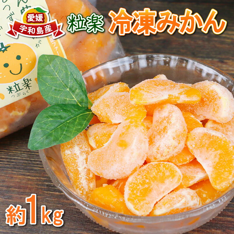 【ふるさと納税】 冷凍 みかん 1kg 1袋 粒楽 冷凍みかん 冷凍フルーツ 南四国ファーム 蜜柑 デザート スイーツ シャーベット アイス 果物 フルーツ 柑橘 冷凍 加工品 産地直送 国産 愛媛 宇和島 J010-035018