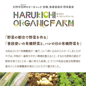 540022 はるきちオーガニックファームの野菜スープ 4個セット(4種類)（各150g）（じゃがいも、かぼちゃ、にんじん、さつまいも）