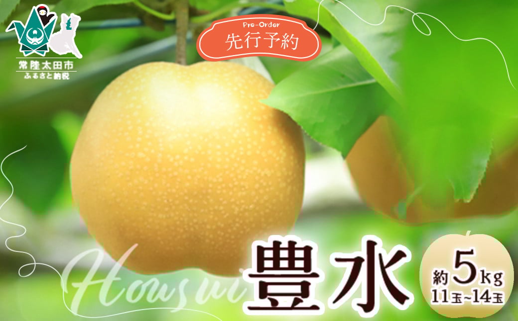 
            【先行予約 2026年】梨 豊水 約5kg 11玉～14玉 | 茨城県 常陸太田市 桧山果樹園 豊水 梨 フルーツ 高級 産地直送 限定品 贈り物 新鮮 お取り寄せ デザート ギフト 風味豊か 青梨 大玉 香り 上品 希少価値 珍しい 地域 甘い 限定 果物 果樹
          