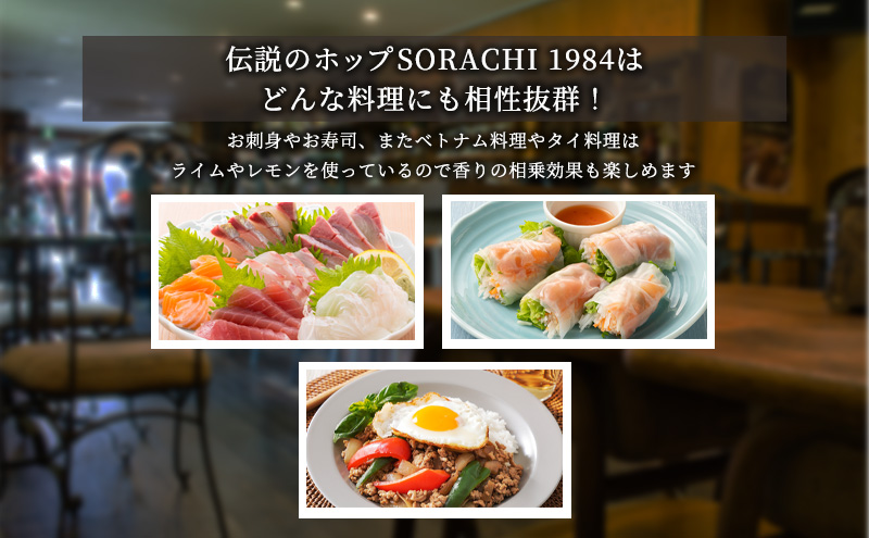 ◆3ヶ月定期便◆上富良野町発祥！伝説のホップ「ソラチエース」使用【SORACHI 1984】350ml×24缶 北海道 上富良野町 ソラチ1984 お酒 酒 飲み物 ビール 地ビール サッポロビール 