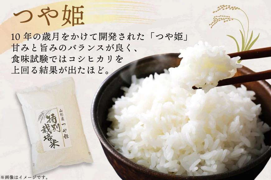 米 令和7年度産 特別栽培米 つや姫 10kg [渡部ファーム 山形県 高畠町 tk06ays810031] お米 白米 精米 ごはん ご飯 ブランド米