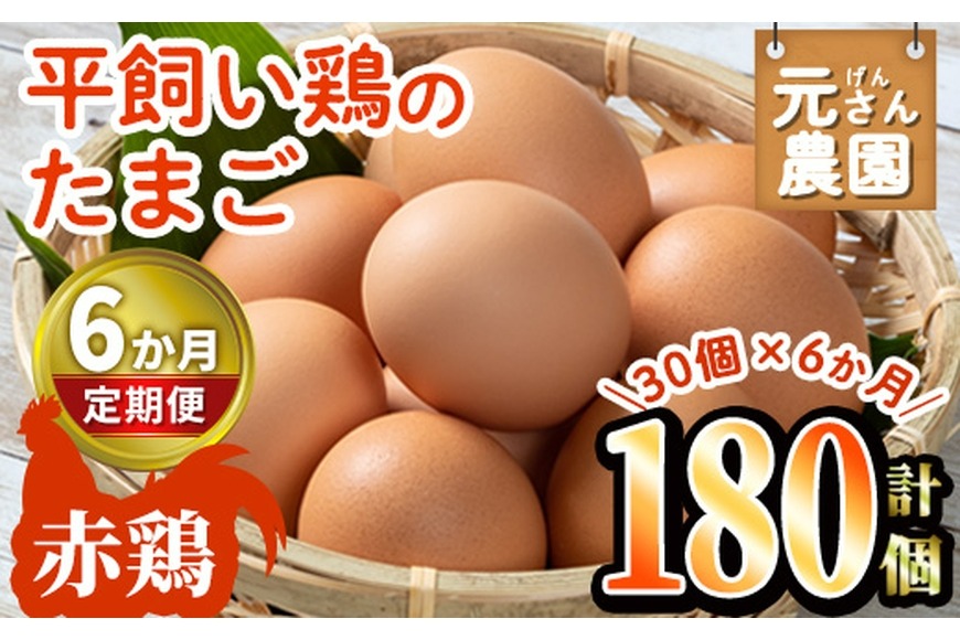 ＜定期便・全6回 (連続)＞平飼い赤鶏のたまご (総量180個・S-Mサイズ30個×6回) 元さん農園 卵 玉子 卵かけご飯 玉子焼き 平飼い 鶏 鶏卵 養鶏場直送 朝採れ 新鮮 大分県 佐伯市 【GE005】【 (株)海九】