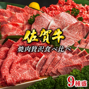 焼肉セット9種盛【サーロイン･ウチモモ･イチボ･カメノコ+お任せ5種】