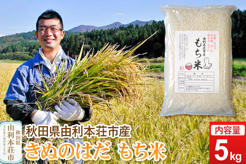 令和7年産【もち米】 5kg 秋田県 由利本荘市産 きぬのはだ 精米 5kg
