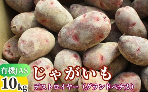 先行予約 有機JASじゃがいも 10kg （グランドペチカ／デストロイヤー） 【畑直送】