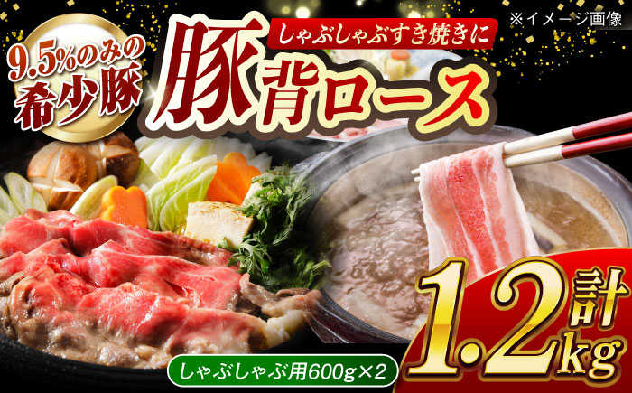 
                  大西海SPF豚 背ロース（しゃぶしゃぶ用）計約1.2kg（600g×2パック）長崎県/長崎県農協直販 [42ZZAA076]  肉 豚 ぶた ブタ ロース しゃぶしゃぶ 小分け 西海市 長崎 九州
                