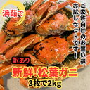 【ふるさと納税】【22017】鳥取網代港【訳あり】浜茹で！松葉ガニ2kgセット【さかなや新鮮組】｜鳥取県 岩美町 蟹 かに カニ 松葉がに 松葉ガニ ズワイガニ 新鮮 魚介 冷蔵 訳アリ