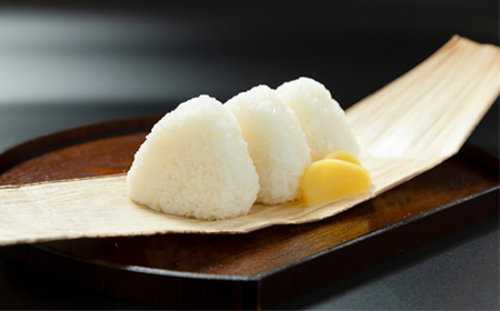 お米 米 令和7年産 はえぬき  無洗米 1月以降順次発送 20kg 5kg×4袋 山形県産 ap-hamxa5x4-0