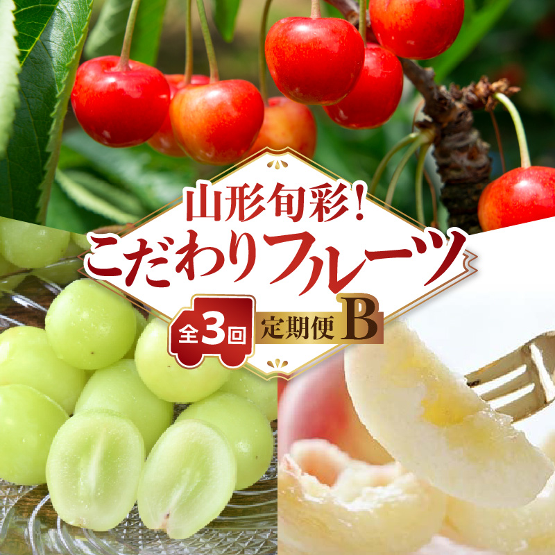 【発送月固定】山形旬彩！こだわりフルーツ定期便全３回Ｂ