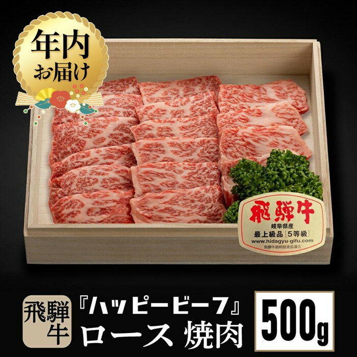 【ふるさと納税】【年内配送が選べる】飛騨牛 A5等級 ロース 500g 発送時期が選べる 年内発送 焼肉 飛騨牛 ブランド牛 A5ランク ハッピープラス 飛騨高山 JQ017VP