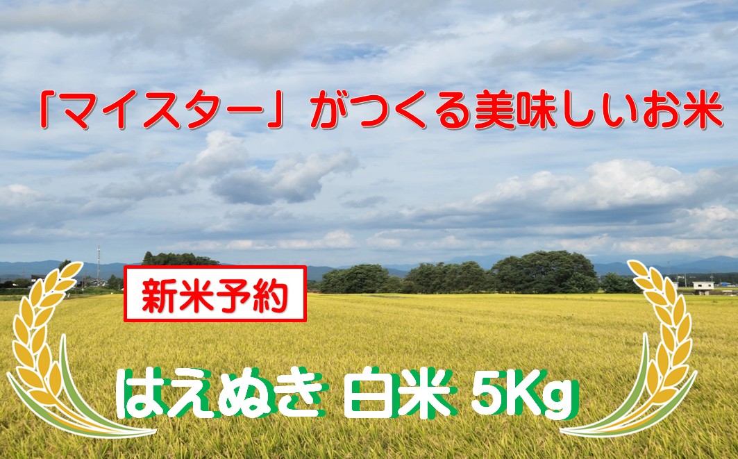 マイスターがつくる　はえぬき　白米　5kg【新米予約】