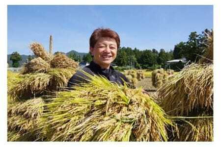 米 3回 定期便 令和6年産 つや姫 5kg 有機JAS 玄米 [農家の蔵出し米生産組合 山形県 高畠町 tk06ays900012] コメ ご飯 ごはん お米 ブランド米