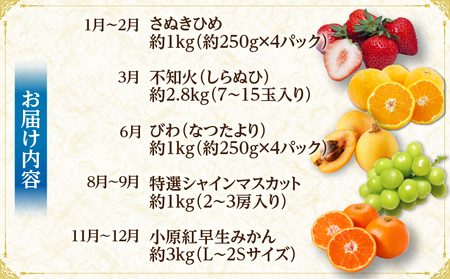 さぬき旬のフルーツ満足 5回定期便 | 果物 フルーツ 青果 青果物 いちご みかん シャインマスカット びわ さぬきひめ 小原紅早生みかん マスカット なつたより 不知火 旬の果物 季節の果物 贈答