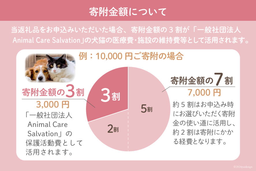 愛護支援 去勢・避妊治療支援 1万円 [Animal Care Salvation 福岡県 筑紫野市 21761527] 動物 ペット 愛護 TNR 保護 動物福祉 保護施設 里親 犬 猫 イヌ ネコ