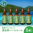 【ふるさと納税】クラフトビール ペールエール 330ml 5本 家飲み ビール 地ビール 瓶ビール 奄美大島 長命草 送料無料