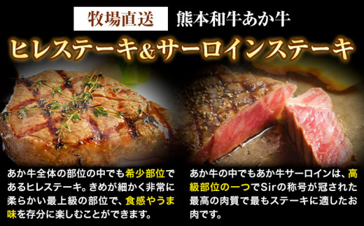 あか牛 ヒレ＆サーロイン550g ヒレ150g サーロイン400g《60日以内に出荷予定(土日祝除く)》三協畜産---so_fskahsrstk_r7_60d_60000_550g---