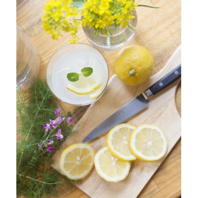 ふるさと納税 京丹後市 ジャージーミルクピス(500ml×4本セット)化粧箱入 |  | 02