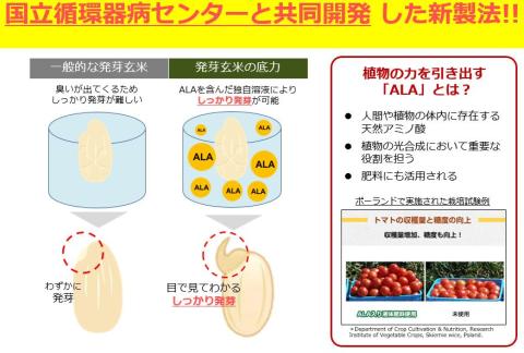発芽玄米の底力(ドライ米タイプ) 1kg×1袋 生活習慣病 ケア 高血圧 中性脂肪 コレステロール 対策 健康 羽生 埼玉