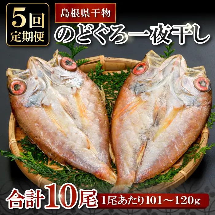 のどぐろ一夜干し 2尾 【5回定期便】【のどぐろ 干物 1尾あたり101～120g 2尾 のどぐろ干物 10枚 ノドグロ あかむつ アカムツ 新鮮 一夜干し 個包装 小分け 真空パック 冷凍 贈答 父の日 母の日】