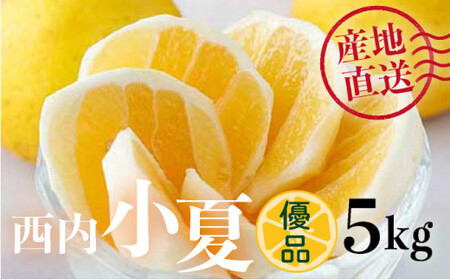 ＜先行予約＞【優品】西内小夏 5kg　N54 [NU-05] 【西内農園】
