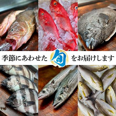 ふるさと納税 田野町 【四国一小さなまち】土佐のお刺身盛り合わせ　3〜4人前程度 ★冷蔵★ |  | 01