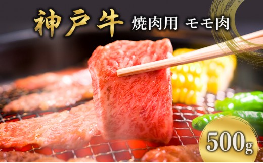 
                  神戸牛  焼肉用 モモ肉 500g  [ 肉 牛肉 焼肉  BBQ モモ もも 焼き肉 やきにく バーベキュー 神戸ビーフ ブランド牛 冷蔵 兵庫県 小野市 ]
                