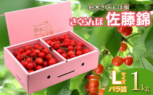 【令和7年産先行予約】 さくらんぼ 佐藤錦 バラ詰め Lサイズ 1kg　山形県鶴岡産　鈴木さくらんぼ園