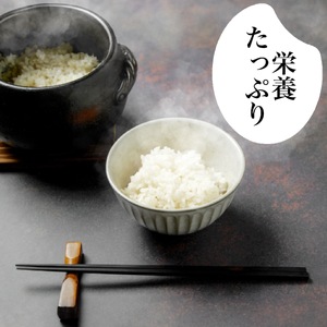 【 先行 予約 】米 こしひかり 3kg 厳選 食味鑑定士 白米 ごはん ご飯 産地直送 コシヒカリ 高知県産 須崎市 NPO011-3x