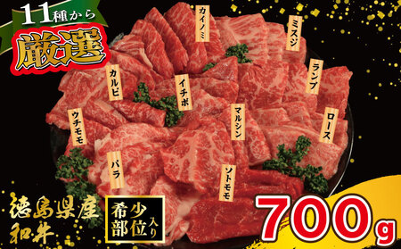 焼肉 セット 牛肉 おまかせ 7種 国産和牛 ロース バラ 外もも 内もも マルシン カイノミ イチボ ランプ カルビ ミスジ トンビ 徳島県 吉野川市