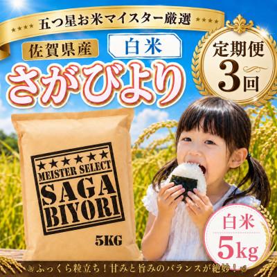 ふるさと納税 大町町 【毎月定期便】『さがびより』白米5kg(大町町)全3回