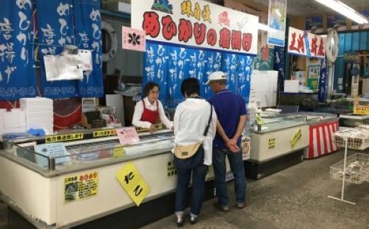 蒲郡海鮮市場 限定品 蒲郡産めひかり唐揚げ+にぎすフライ+タコ唐揚げ＋深海魚の干物+ちりめんじゃこセット_【G0771】