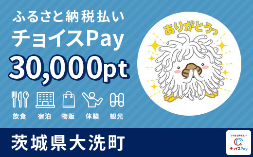 
大洗町チョイスPay 30,000pt（1pt＝1円）【会員限定のお礼の品】
