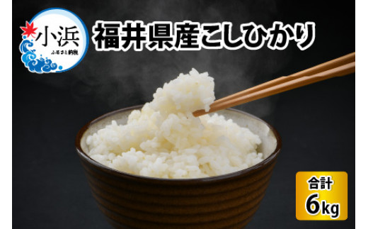 
【令和6年産 新米】福井県産こしひかり　3kg×2袋　計6kg（紙袋入り）
