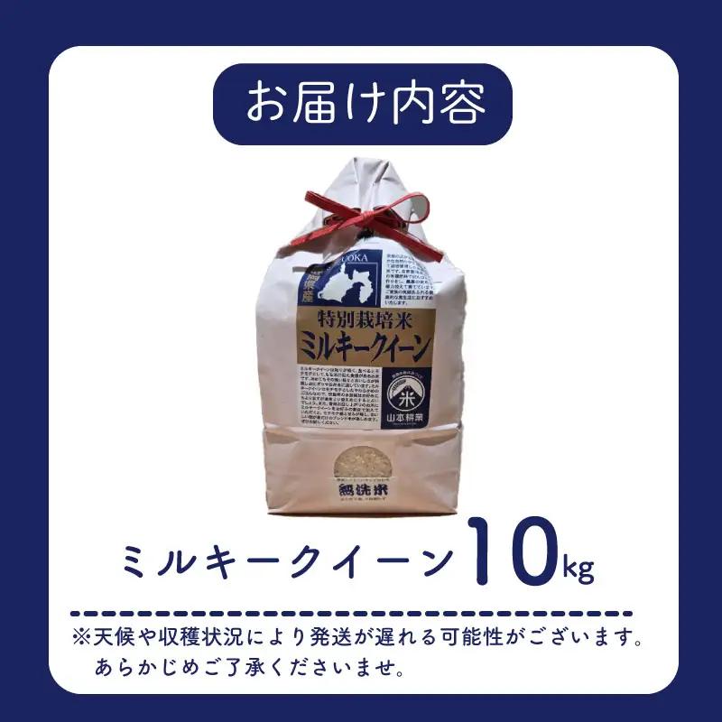 ミルキークイーン 10kg 【無洗米】牧之原市 静岡県 山本耕業