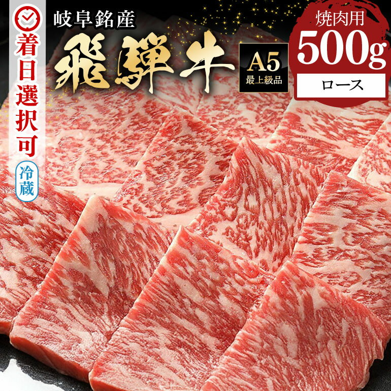 【ふるさと納税】 飛騨牛 焼肉用 ロース (500g) 冷蔵 A5 霜降り 黒毛和牛 和牛 牛肉 肉 焼き肉 BBQ バーベキュー アウトドア 行楽 お盆 お中元 暑中見舞い プレゼント ギフト 贈り物 日付指定 時間指定 y14-48 送料無料
