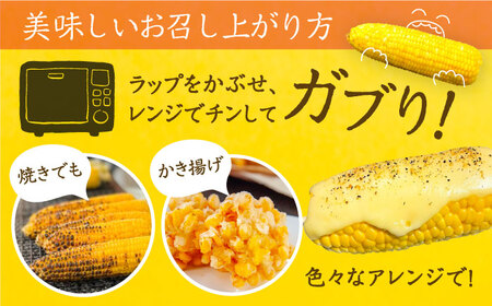 【先行予約】夜明けのスイートコーン 4kg×2箱 (14-20本)[VCO002] コーン とうもろこし
