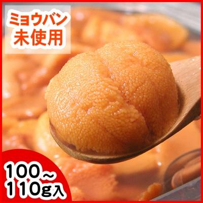 ふるさと納税 根室市 エゾバフンウニ(黄色)塩水P100〜110g C-56019