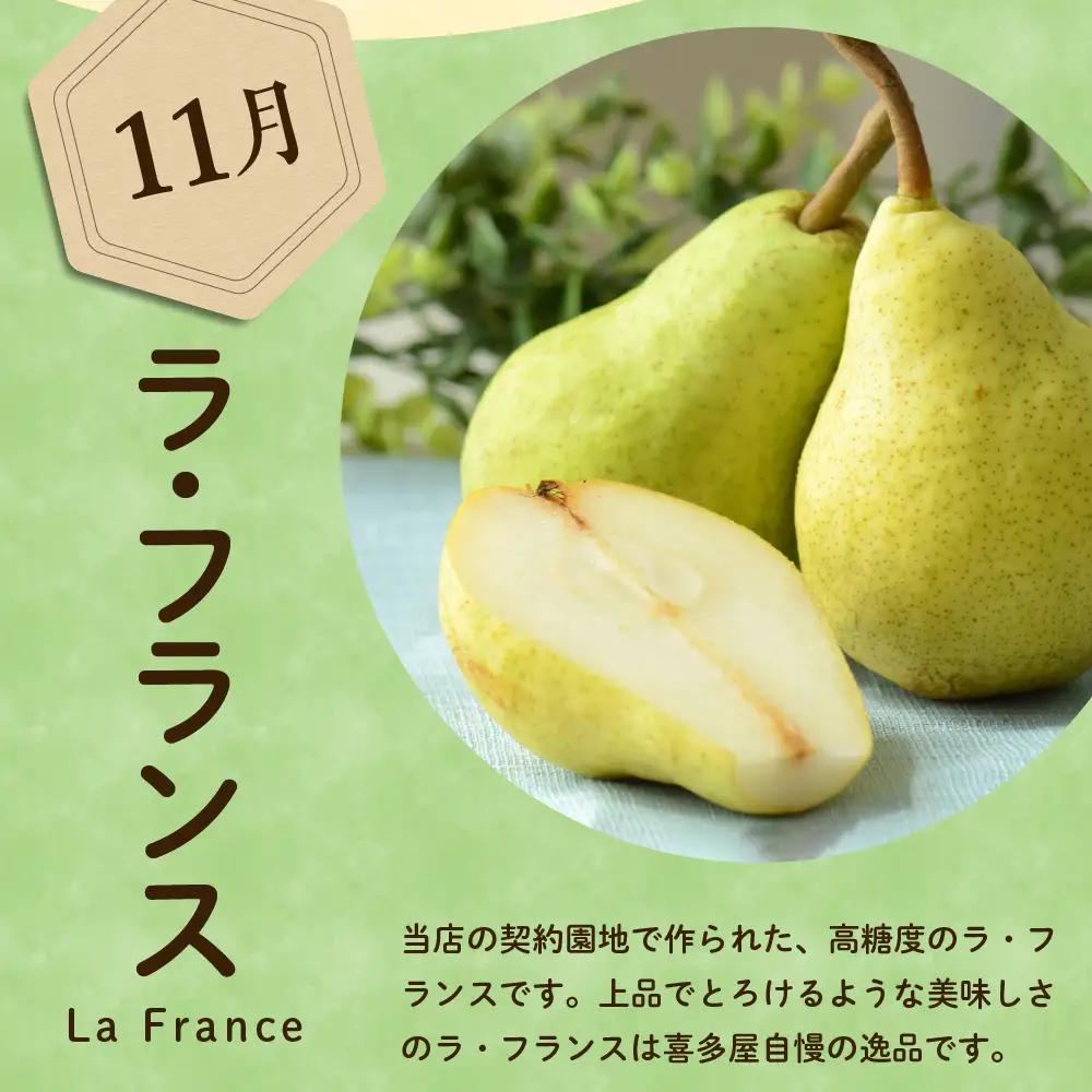 【先行予約】 定期便 令和8年産 西洋梨の定期便 全4回 約8kg 山形