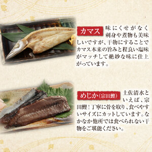 高知 漁師町直送こだわり干物おためしセット おまかせ ４枚 しいら さば カマス あじ たい みりん干し 塩干し 個別包装 真空パック 冷凍 一人暮らし 単身 ギフト対応【R00867】