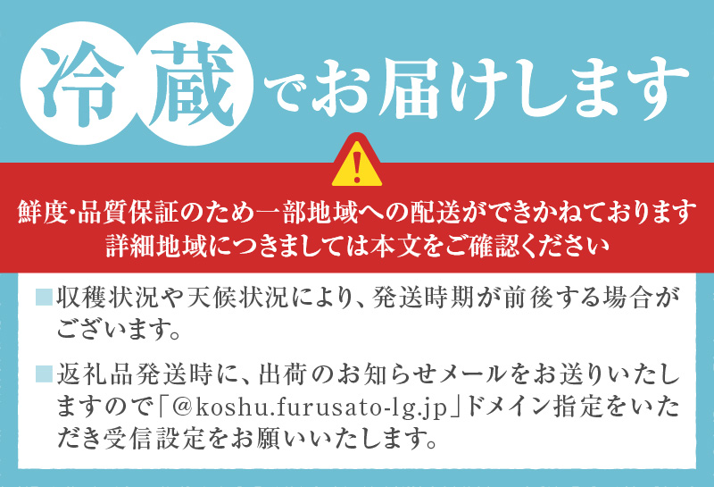 農家直送 訳あり 桃 約3kg 7～15玉【2026年発送】（YKI）A08-990