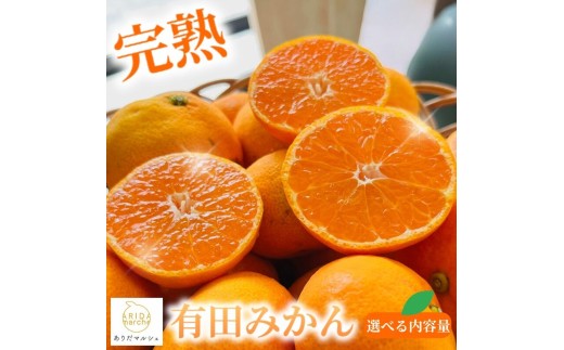 【訳あり・ご家庭用】【果汁たっぷり】迫力満点 大粒 有田みかん サイズ混合(2L～4L)　約7.7kg(7.5kg+200g)【2026年11月中旬～1月中旬頃に順次発送予定】